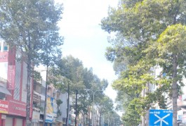 Ngộp Hồng Bàng - Quận 11 - 60m - HXH vô nhà - 3 tầng BTCT